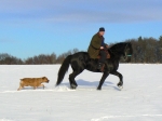 Na Poláškovci 1/2012 ( 2 )