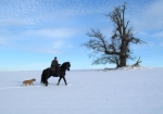 Na Poláškovci 1/2012 ( 4 )
