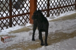Yuma pod pergolou 3