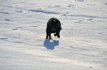 2.3.2012