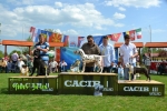 CACIB NATALINCI-PUPPY BIS II.
