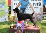 CACIB NIŠ - PUPPY BIS